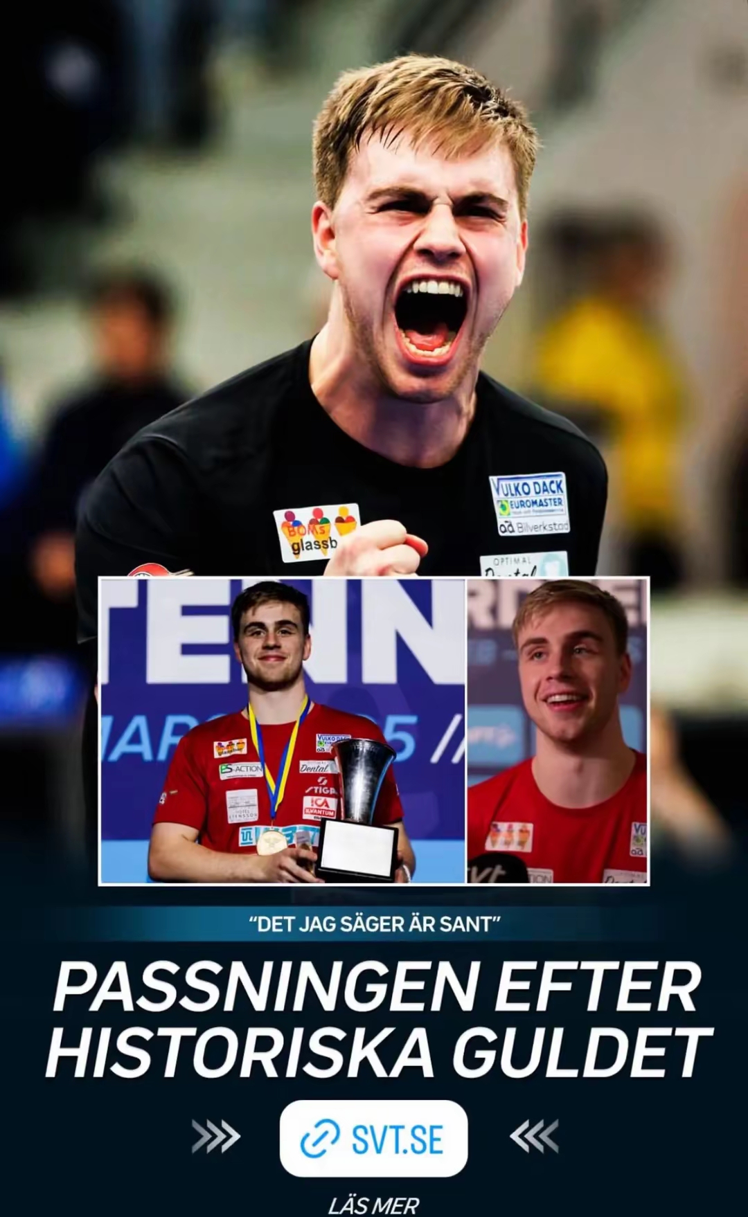 瑞典队力保不败，表现十分出色的简单介绍