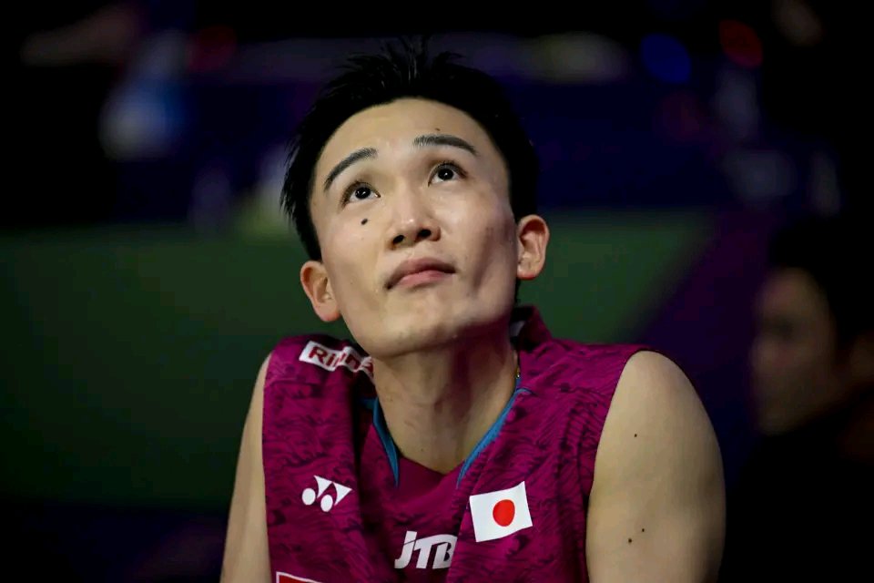 雷火电竞下载-日本队轻取德国队，桃田贤斗刷新纪录的简单介绍