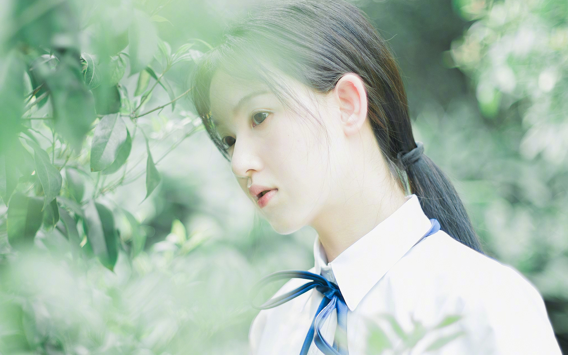 雷火电竞主播-双重奏鸣曲，巴斯托尼的战术觉醒与韩国的压迫美学