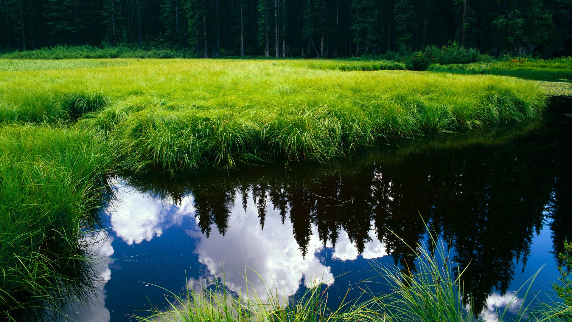 从安菲尔德到首尔，恩佐里程碑背后的利物浦韩国奇迹