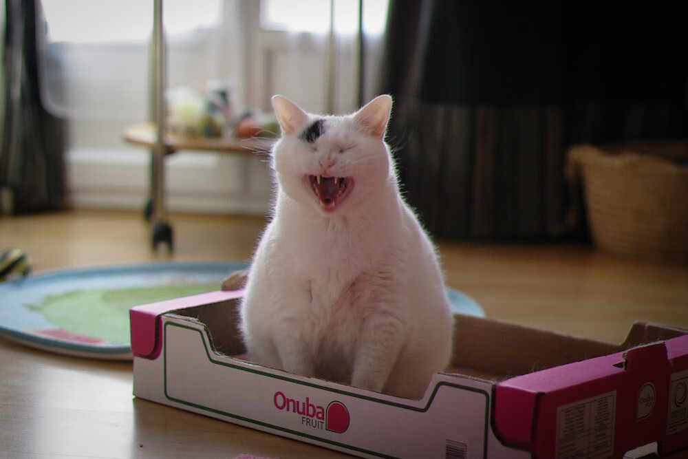 当希腊巨兽的锋刃遇上东方齿轮，字母哥高光不敌广东精密手术