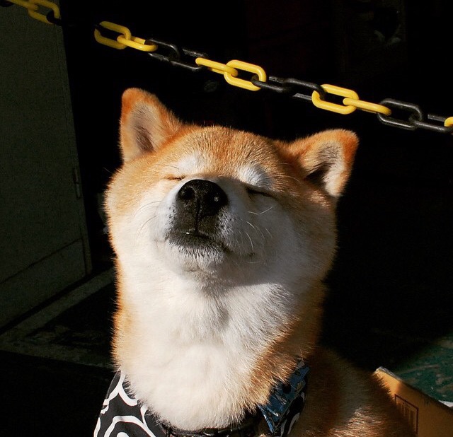 雷火电竞主播-节奏与接管，从步行者的篮球智慧到切特的F1争冠艺术