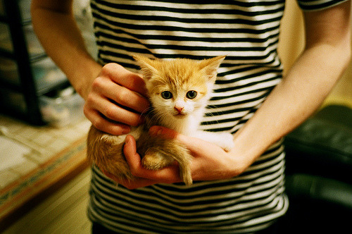 绿茵教科书，托尼一传一射导演逆转，玻利维亚击碎巴拉圭高原魔咒