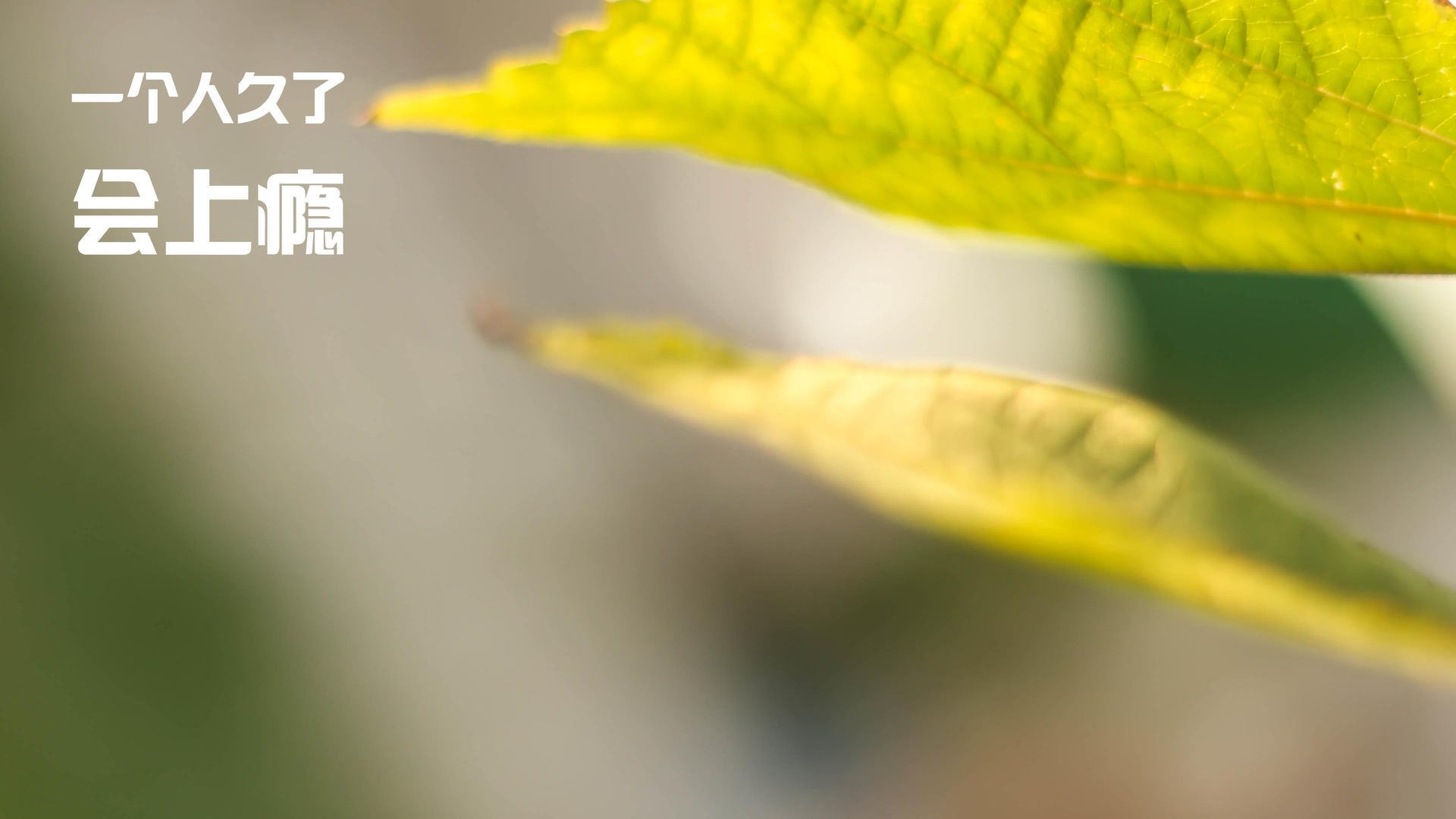 双线英雄,姆巴佩天神下凡,勒沃库森压哨绝唱