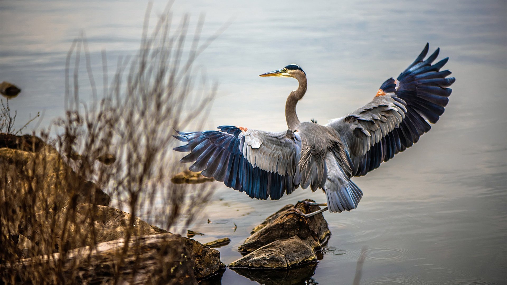 绿茵场上演魔兽争霸战，当德甲巨人遭遇篮球智慧降维打击