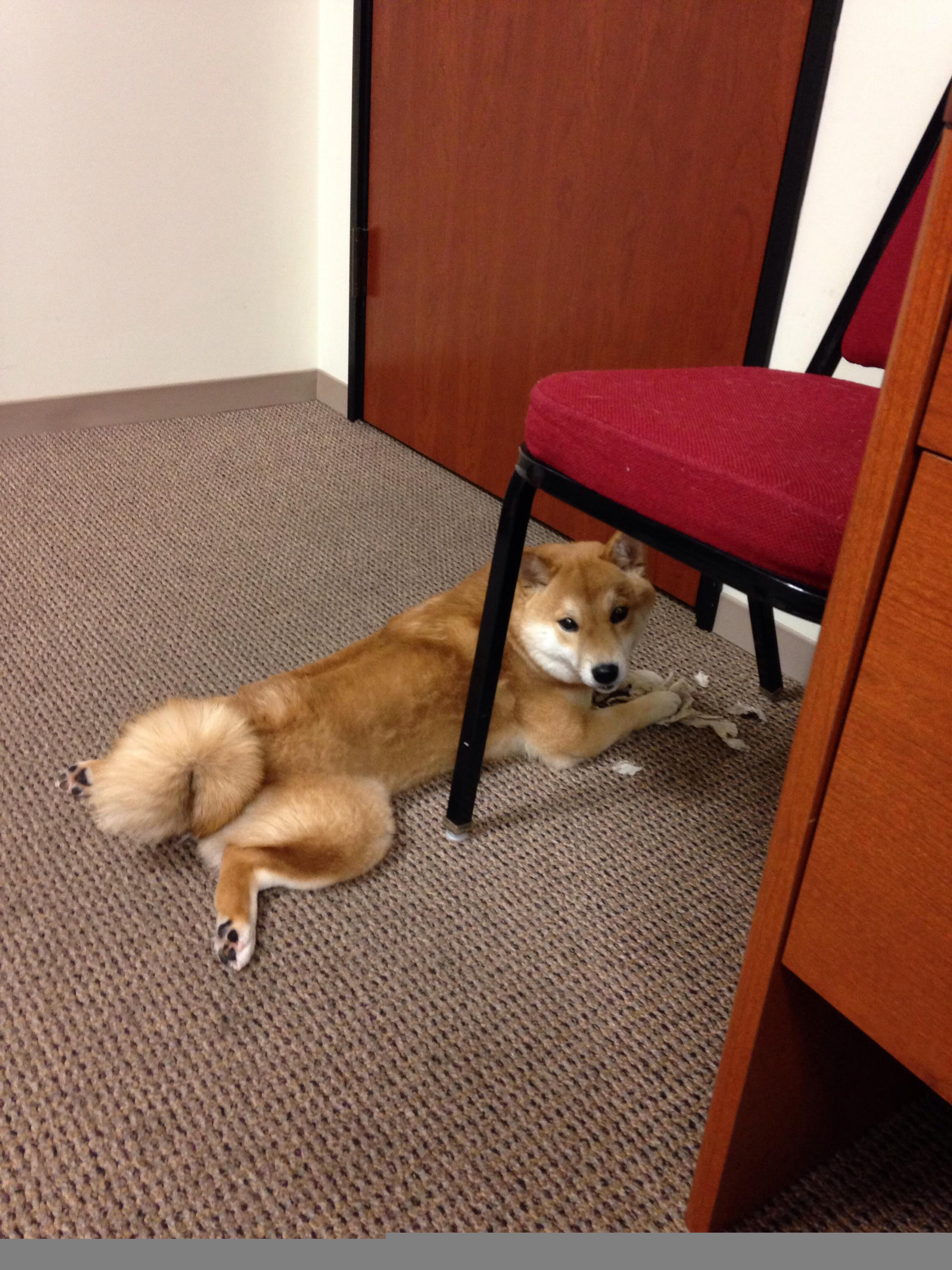 不只是火箭升空，奥运周期压力下，杰伦·格林用一场接管式胜利完成蜕变宣言