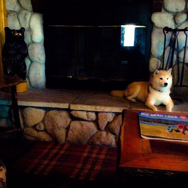 历史之夜，字母哥非典型爆发改写黄蜂活塞对决剧本