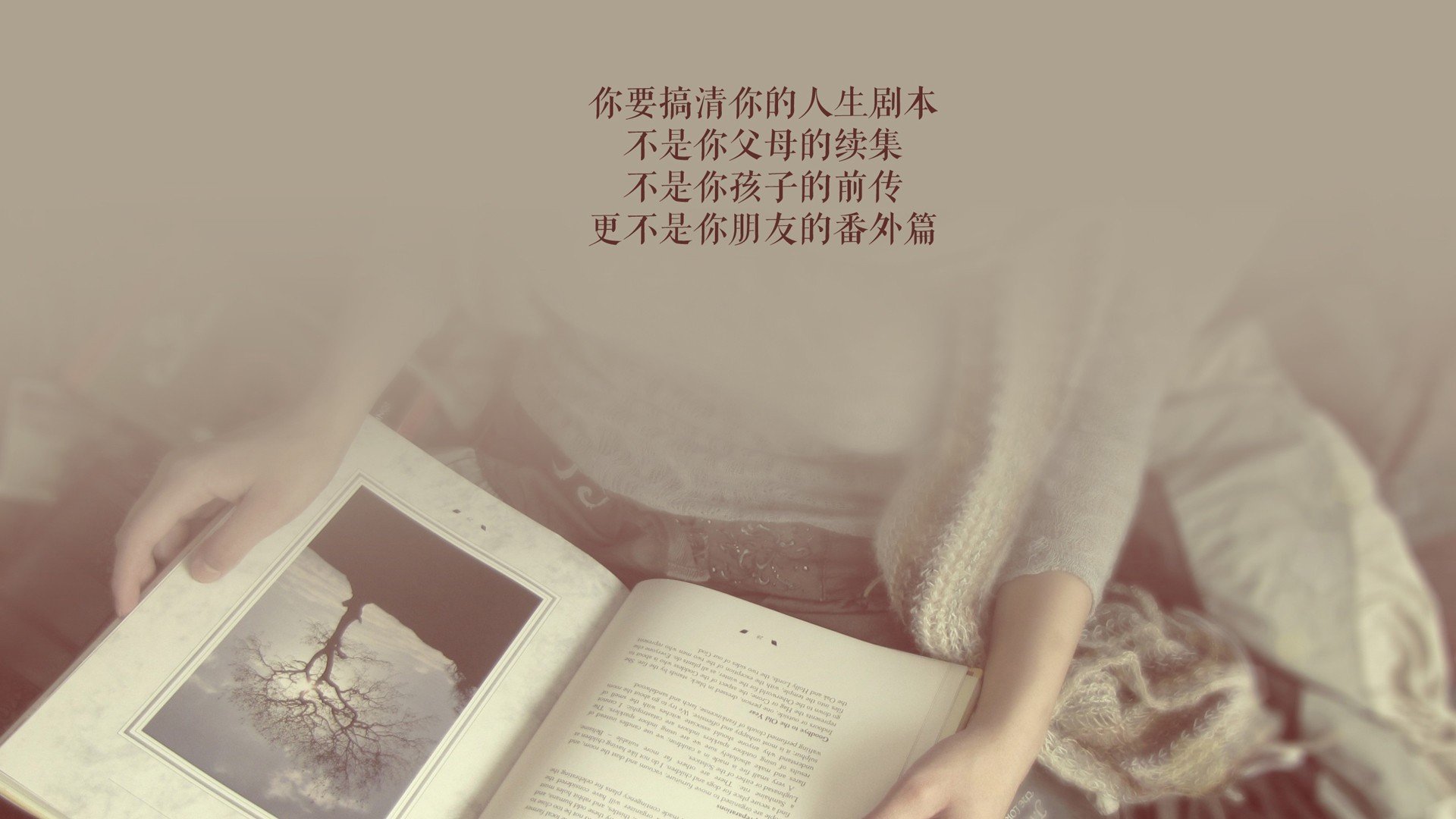 唯一性法则,约基奇硬仗之王与魔术打穿森林狼的终极诠释