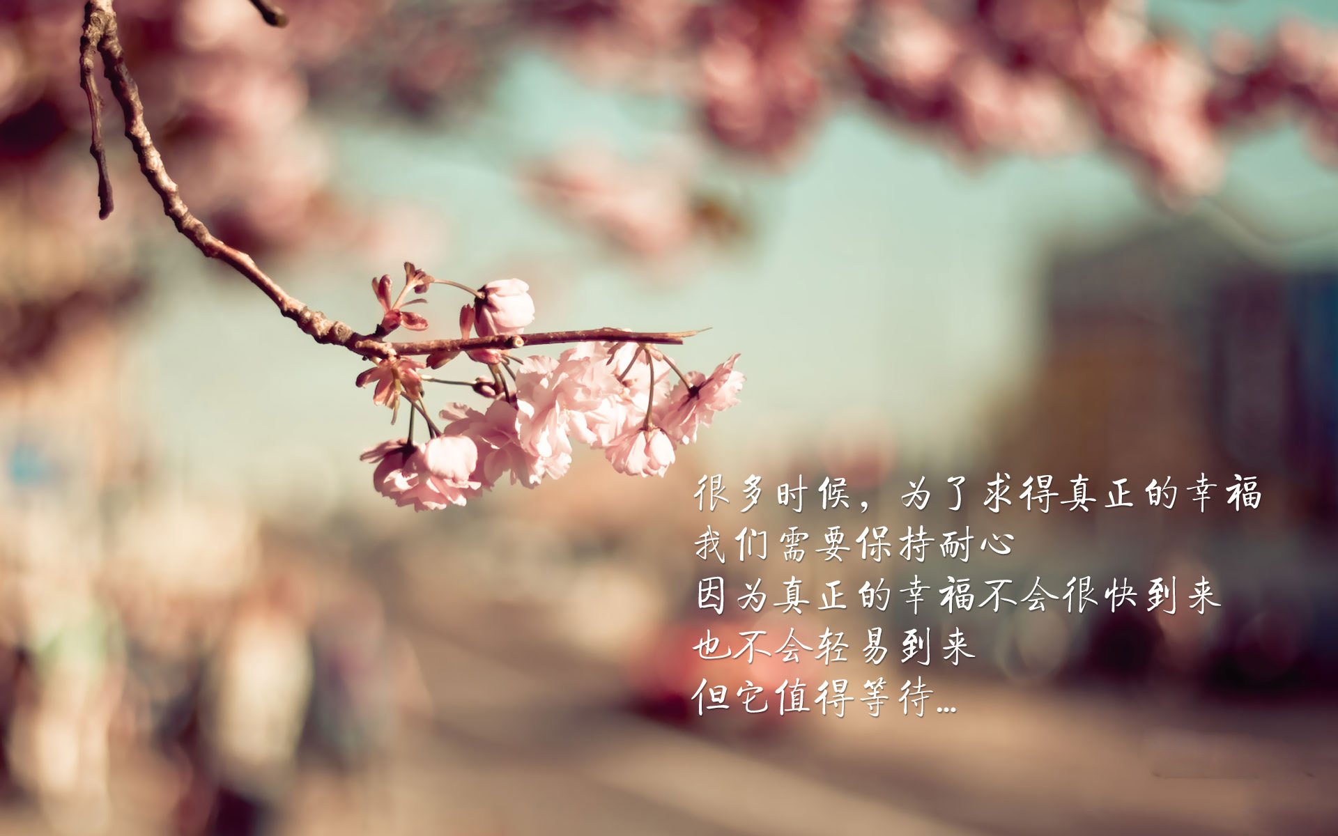 沙漠之鹰的致命一击，2026世界杯B组焦点战，齐耶赫如何用脚踝撕碎丹麦童话
